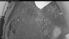 Web Cam Image - Tue, 06/30/2026 3:34am PDT