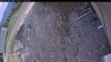 Web Cam Image - Tue, 05/12/2026 2:54pm PDT