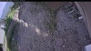 Web Cam Image - Mon, 06/01/2026 5:39pm PDT