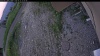 Web Cam Image - Mon, 06/22/2026 7:09pm PDT
