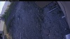 Web Cam Image - Mon, 05/11/2026 5:54pm PDT