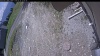 Web Cam Image - Wed, 05/20/2026 11:19am PDT