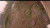 Web Cam Image - Mon, 09/15/2025 8:09am PDT