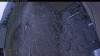 Web Cam Image - Mon, 05/11/2026 6:49pm PDT