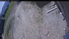 Web Cam Image - Fri, 05/22/2026 10:49am PDT