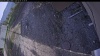 Web Cam Image - Sat, 05/09/2026 4:49pm PDT