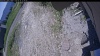 Web Cam Image - Sun, 06/14/2026 11:24am PDT