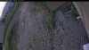 Web Cam Image - Mon, 06/22/2026 6:59pm PDT