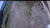 Web Cam Image - Sun, 06/14/2026 7:59am PDT