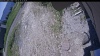 Web Cam Image - Sun, 06/14/2026 11:19am PDT
