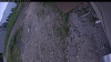 Web Cam Image - Wed, 06/17/2026 2:49pm PDT
