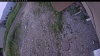 Web Cam Image - Sun, 06/21/2026 6:49pm PDT