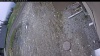 Web Cam Image - Sat, 05/09/2026 4:44am PDT