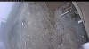 Web Cam Image - Wed, 05/06/2026 1:59pm PDT
