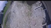 Web Cam Image - Sat, 05/23/2026 11:34am PDT