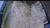 Web Cam Image - Sun, 06/14/2026 11:09am PDT