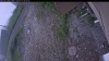 Web Cam Image - Wed, 07/01/2026 4:04am PDT