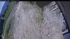 Web Cam Image - Sun, 06/14/2026 11:04am PDT