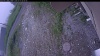 Web Cam Image - Wed, 07/01/2026 3:59am PDT
