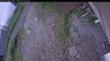 Web Cam Image - Sat, 07/04/2026 5:49am PDT