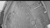 Web Cam Image - Sat, 05/09/2026 4:29am PDT