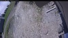 Web Cam Image - Sat, 05/23/2026 11:24am PDT