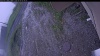 Web Cam Image - Tue, 06/09/2026 5:04am PDT