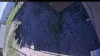 Web Cam Image - Thu, 06/18/2026 3:29pm PDT