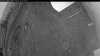 Web Cam Image - Sat, 05/02/2026 7:44pm PDT