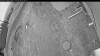 Web Cam Image - Sat, 05/09/2026 4:24am PDT