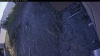 Web Cam Image - Mon, 05/11/2026 6:14pm PDT