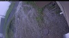 Web Cam Image - Tue, 06/09/2026 4:59am PDT