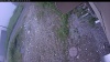 Web Cam Image - Wed, 07/01/2026 3:49am PDT