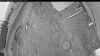 Web Cam Image - Sat, 05/09/2026 4:19am PDT
