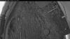 Web Cam Image - Mon, 05/11/2026 4:14am PDT