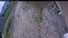 Web Cam Image - Mon, 06/15/2026 10:59am PDT