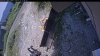 Web Cam Image - Mon, 07/13/2026 12:19pm PDT