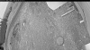 Web Cam Image - Sat, 05/09/2026 4:14am PDT