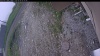 Web Cam Image - Thu, 06/04/2026 7:59am PDT