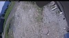 Web Cam Image - Mon, 06/01/2026 11:14am PDT
