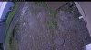 Web Cam Image - Fri, 06/05/2026 6:34pm PDT