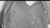 Web Cam Image - Sat, 05/09/2026 4:09am PDT