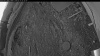 Web Cam Image - Mon, 05/11/2026 4:04am PDT
