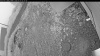Web Cam Image - Fri, 07/03/2026 3:34am PDT