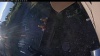 Web Cam Image - Fri, 08/21/2026 6:14am PDT