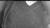 Web Cam Image - Sat, 05/09/2026 4:04am PDT