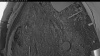 Web Cam Image - Mon, 05/11/2026 3:59am PDT
