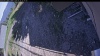 Web Cam Image - Wed, 05/27/2026 4:34pm PDT