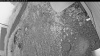 Web Cam Image - Fri, 07/03/2026 3:29am PDT
