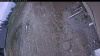 Web Cam Image - Fri, 05/08/2026 2:34pm PDT